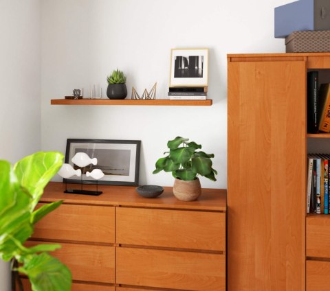 PÓŁKA PS-5 100cm OLCHA