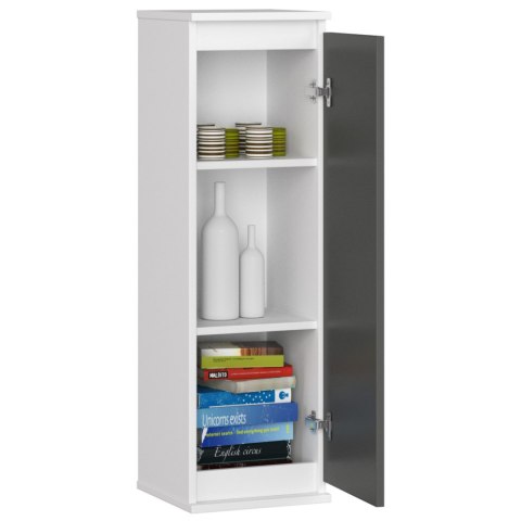 SZAFKA WISZĄCA - WITRYNA W30 CLP BIAŁA / GRAFIT SZARY