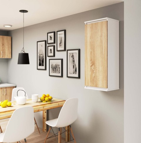 SZAFKA WISZĄCA - WITRYNA W40 CLP BIAŁA / SONOMA