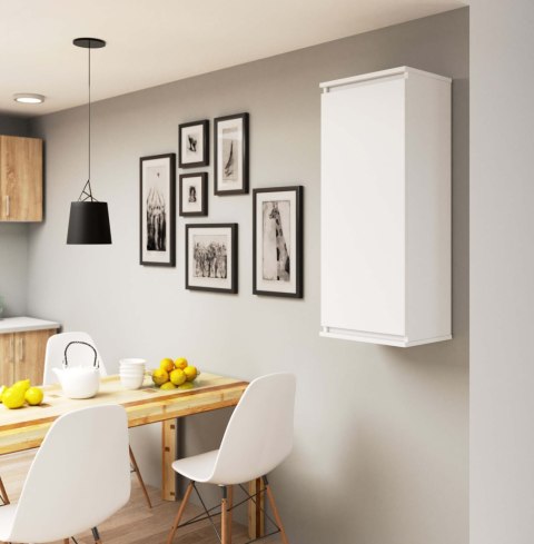 SZAFKA WISZĄCA - WITRYNA W40 CLP BIAŁA