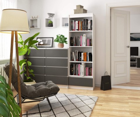 REGAŁ R60 1SZ 4P CLP PK BIAŁY / SZARY