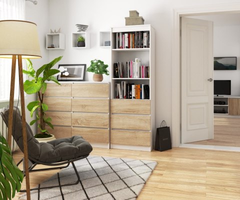 REGAŁ R60 3SZ 2P CLP PK BIAŁY / SONOMA