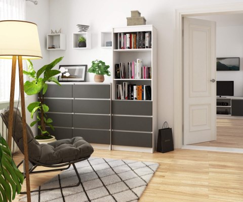 REGAŁ R60 3SZ 2P CLP PK BIAŁY / SZARY