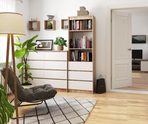 REGAŁ R60 3SZ 2P CLP PK SONOMA / BIAŁY