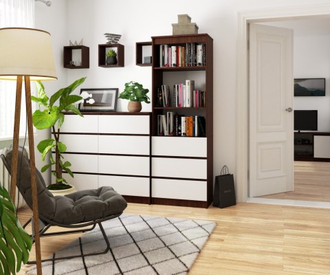 REGAŁ R60 3SZ 2P CLP VENGE / BIAŁY