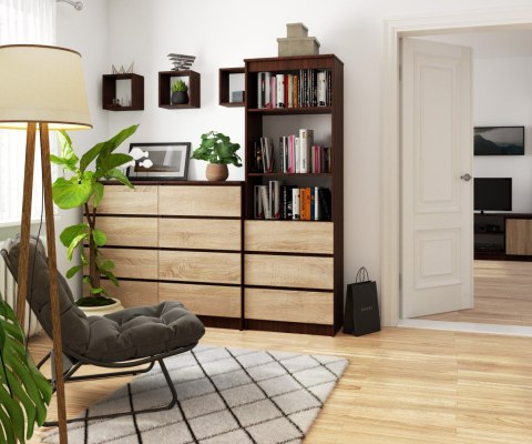 REGAŁ R60 3SZ 2P CLP VENGE / SONOMA