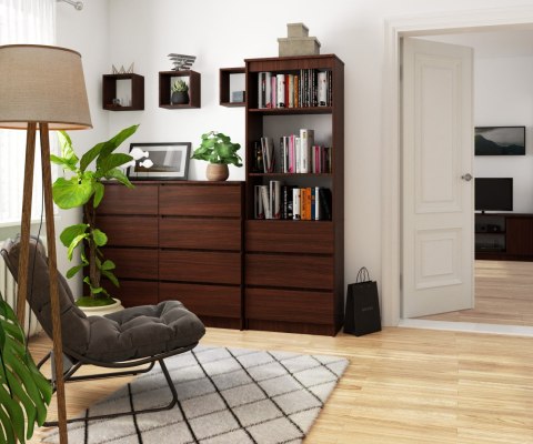 REGAŁ R60 3SZ 2P CLP VENGE