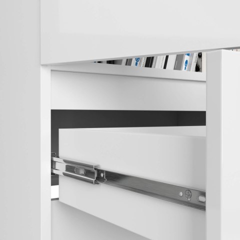 REGAŁ ZAMKNIETY R60 2D 1SZ CLP PK BIAŁY/ BIAŁY POŁYSK