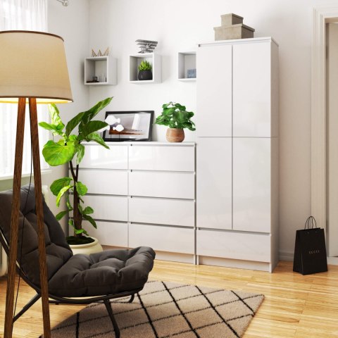 REGAŁ ZAMKNIETY R60 2D 1SZ CLP PK BIAŁY/ BIAŁY POŁYSK