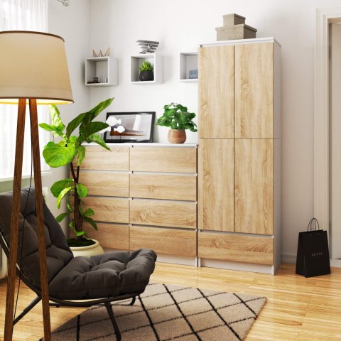 REGAŁ ZAMKNIETY R60 2D 1SZ CLP PK BIAŁY / SONOMA