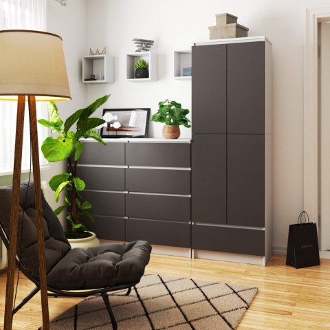 REGAŁ ZAMKNIETY R60 2D 1SZ CLP PK BIAŁY / SZARY