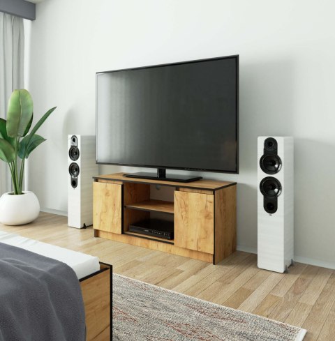 KOMODA RTV K120 2D 1P CLP DĄB CRAFT