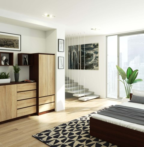 SZAFA STAR S 60 cm 2 DRZWI 2 SZUFLADY WENGE / SONOMA