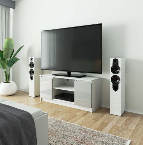 SZAFKA RTV 120 cm 2D 1P METALIK AKRYL WYSOKI POŁYSK