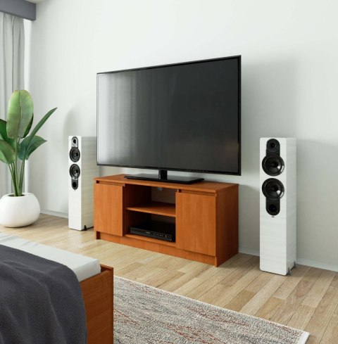 SZAFKA RTV 120 cm 2D 1P OLCHA