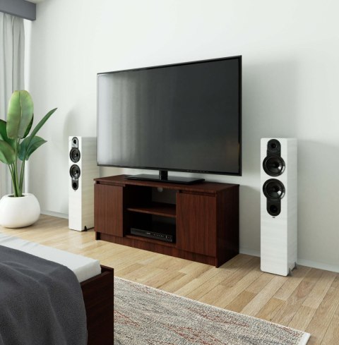 SZAFKA RTV 120 cm 2D 1P WENGE