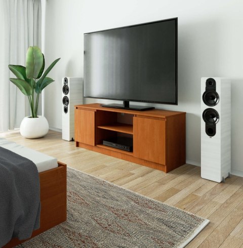 SZAFKA RTV 140 cm 2D 1P OLCHA