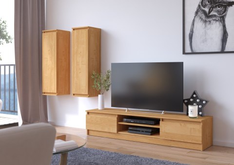 SZAFKA RTV 160 cm 2D 1P OLCHA