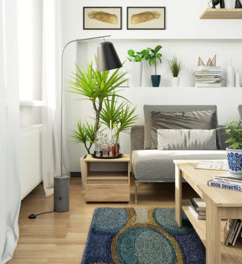 KOMODA CL1 PK DĄB SONOMA