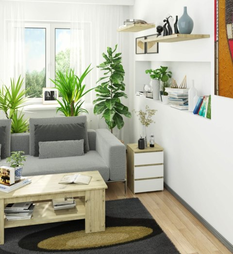 KOMODA CL3/40 DĄB PK ARTISAN / BIAŁA