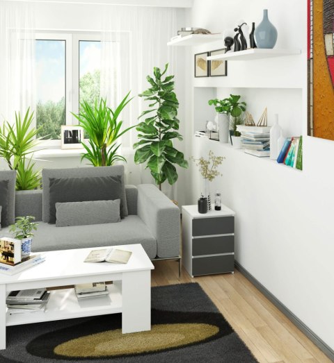 KOMODA CL3/40 PK BIAŁA / SZARA