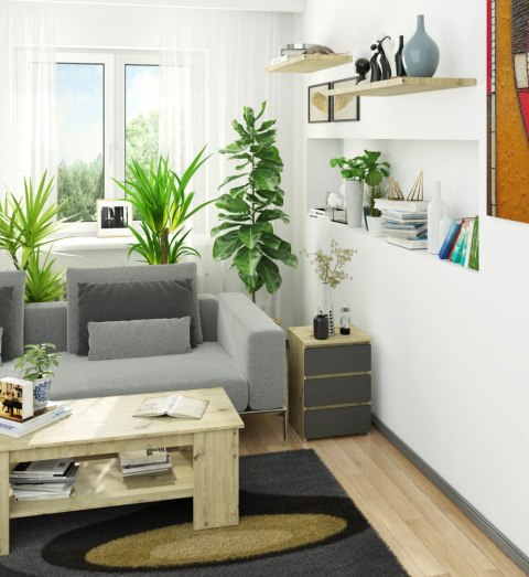 KOMODA CL3/40 PK DĄB ARTISAN / SZARA