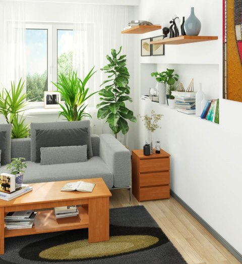 KOMODA CL3/40 PK OLCHA