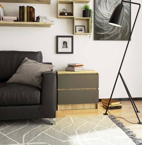 KOMODA K60 2SZ CLP DĄB ARTISAN / SZARY