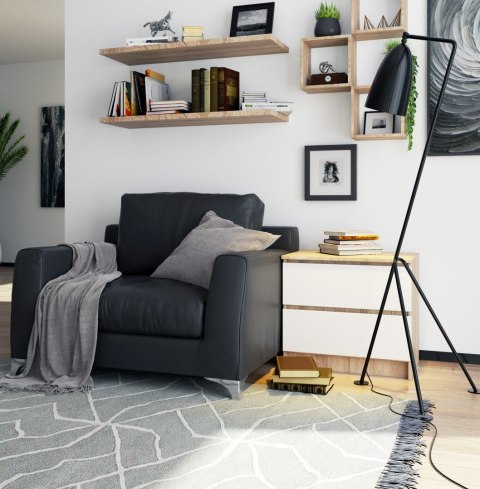 KOMODA K60 2SZ CLP DĄB SONOMA / BIAŁY