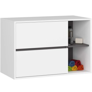 SZAFKA ŁAZIENKOWA POD UMYWALKĘ VAMI W90 2SZ 2P PK BIAŁA / GRAFIT SZARY