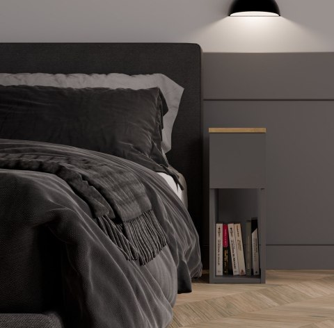 Szafka nocna GALAX 20/1S ANTRACYT ARTISAN