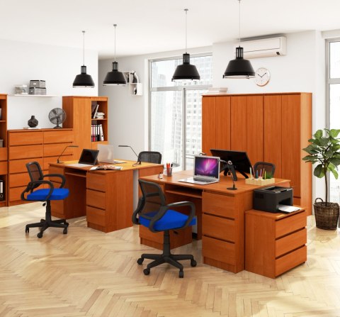 BIURKO A-11 CLP 6SZ OLCHA