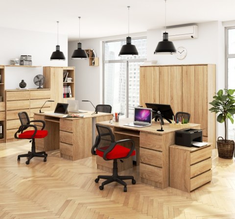 BIURKO A-11 CLP 6SZ PK SONOMA