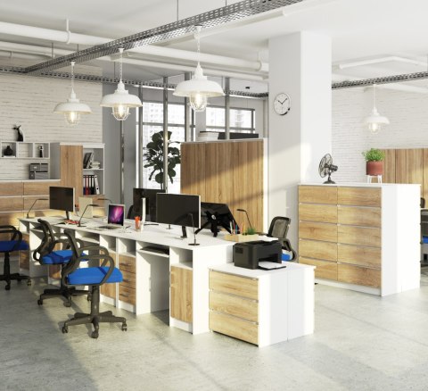 BIURKO ANA PK BIAŁA / SONOMA