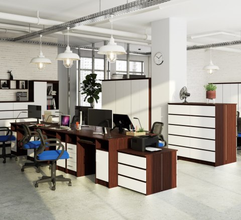 BIURKO ANA PK WENGE / BIAŁE