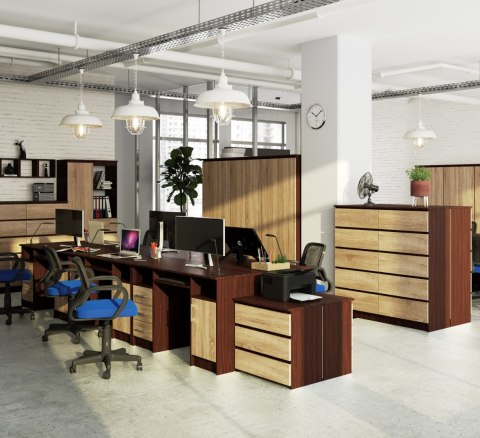 BIURKO ANA PK WENGE / SONOMA