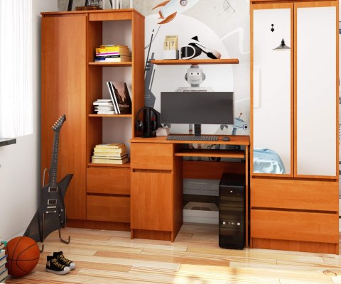 BIURKO KOMPUTEROWE PIKSEL OLCHA - LEWE