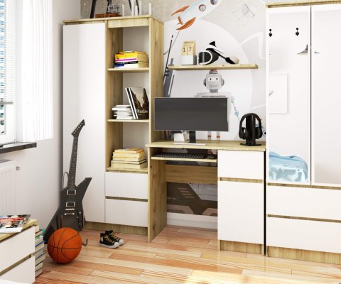 BIURKO KOMPUTEROWE PIKSEL PK ARTISAN / BIAŁY - PRAWE